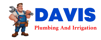 Trusted plumber in NICHOLLS